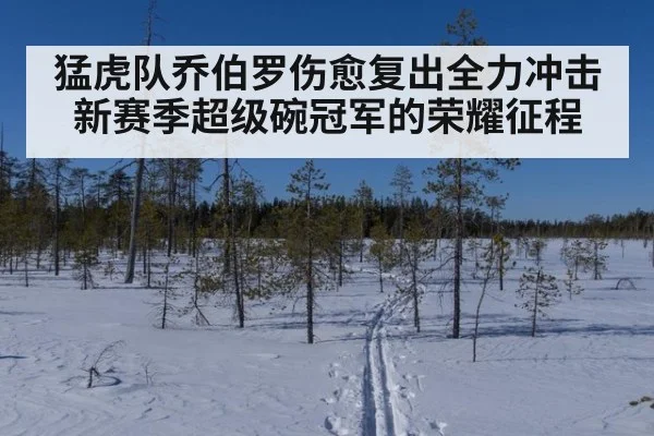 猛虎队乔伯罗伤愈复出全力冲击新赛季超级碗冠军的荣耀征程